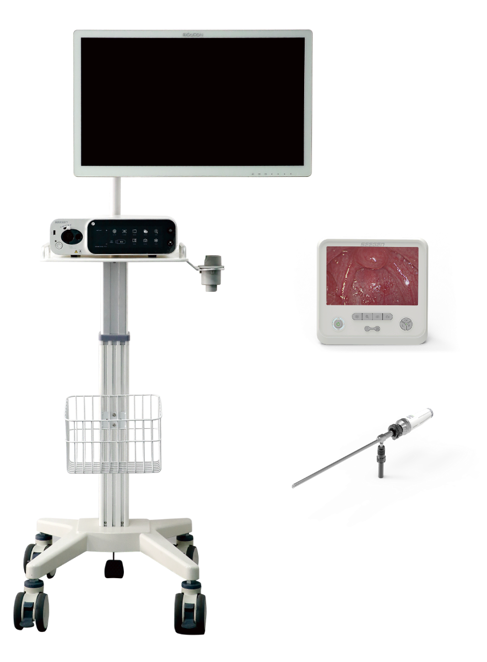 Cholangioskop zur direkten Visualisierung der Gallenwege
